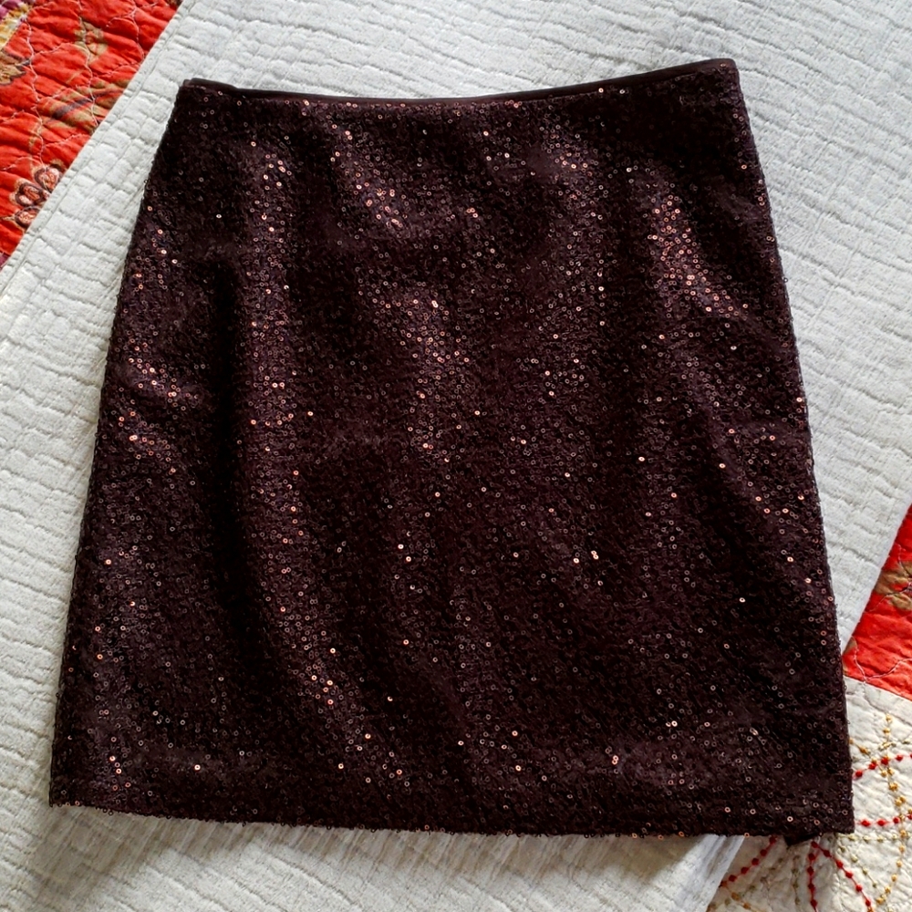 Ann Taylor skirt